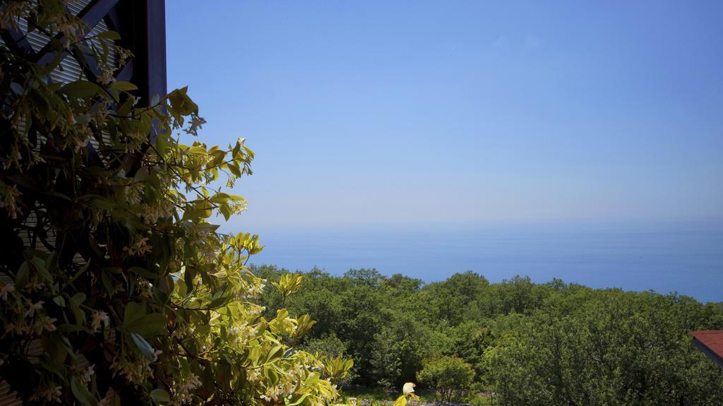 Apartmani Zona Sveti Stefan Exterior foto